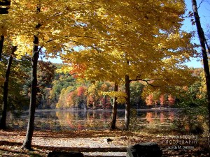 autumn.by.the.lake.web