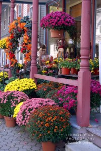 Country Flower Shop.web