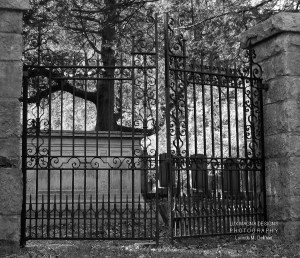 cemetery.gate.web